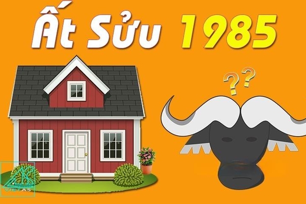Tuổi Ất Sửu sinh năm 1985 năm 2024 có làm nhà được không?