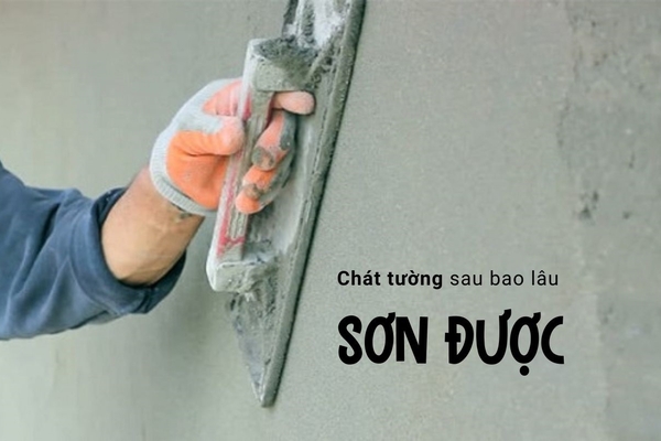 Hỏi trát tường xong bao lâu thì sơn được?