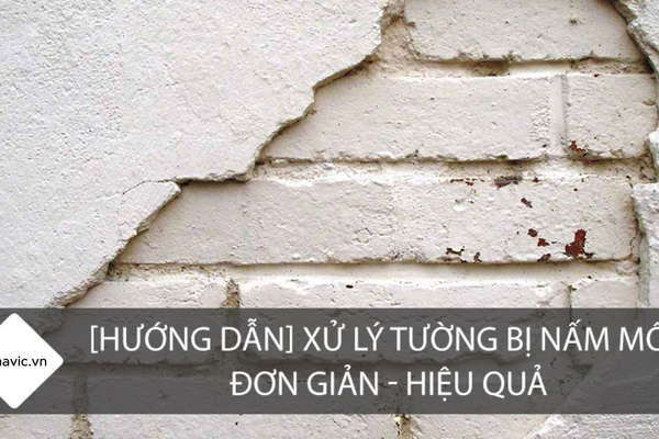 Nguyên nhân và cách xử lý tường bị ẩm mốc hiệu quả