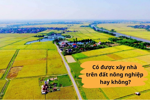 Có được xây nhà trên đất nông nghiệp hay không?