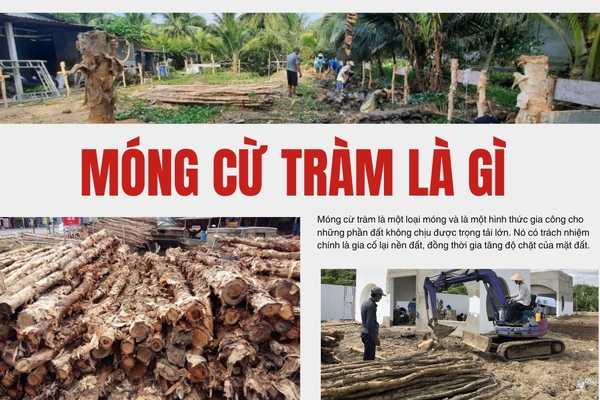 Móng Cừ Tràm Là Gì: Ưu Điểm & Ứng Dụng Trong Xây Dựng
