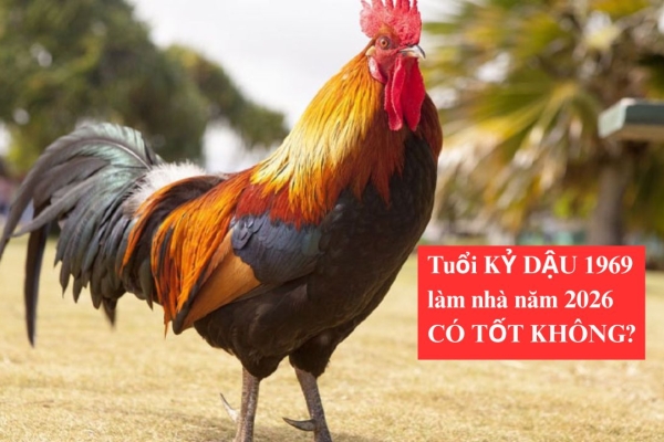Sinh năm 1969 - Tuổi Kỷ Dậu làm nhà 2026 có tốt không?