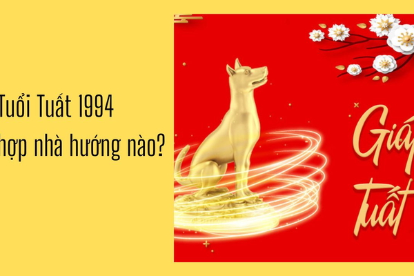 Giải đáp Nam, Nữ Tuổi Tuất 1994 hợp nhà hướng nào?