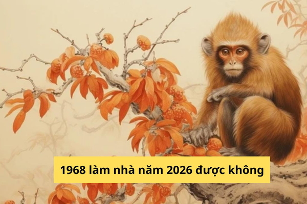 Tuổi Mậu Thân 1968 làm nhà năm 2026 được không?