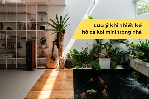 Lưu ý khi thiết kế hồ cá koi mini trong nhà chuẩn kỹ thuật, dễ bảo dưỡng
