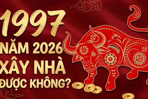 1997 Xây Nhà Năm 2026 Có Tốt Không? Xem Ngay Trước Khi Quyết Định