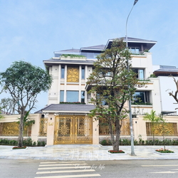 Thi công biệt thự 4 tầng hồ bơi hiện đại (CĐT: Mr Sơn - Nghệ An) TCBT2215