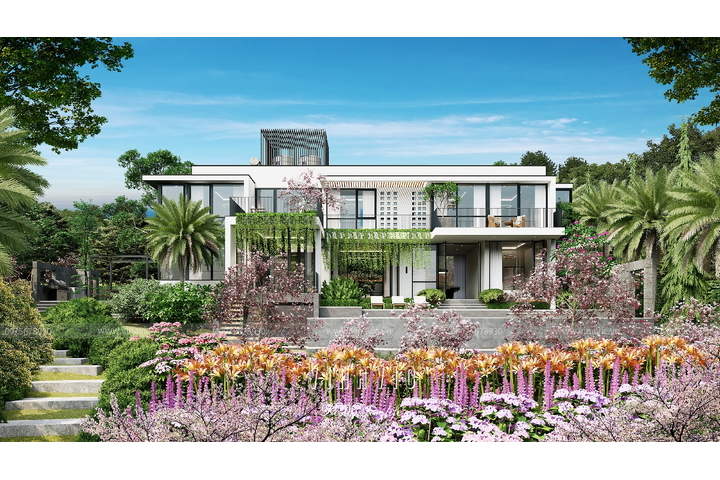 Mẫu thiết kế Villa hiện đại 3 tầng 1 bán hầm (23x11m) BT2347