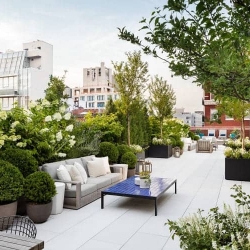 Thiết kế thi công tiểu cảnh sân thượng biệt thự nhà phố đẹp TCSV2005