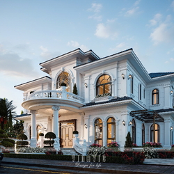 Biệt thự tân cổ điển 2 tầng mặt tiền 17mx11m 5 phòng ngủ BT2443