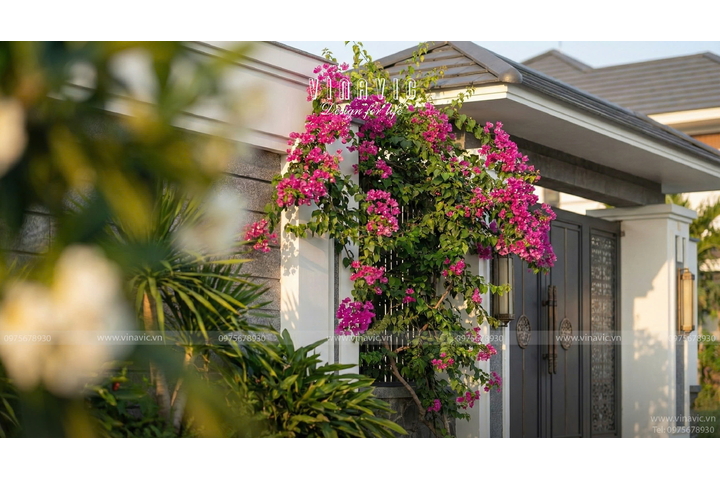 Thiết kế nhà mái nhật hiện đại 1 tầng 4 phòng ngủ 9x19m NP2364