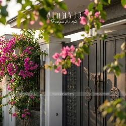 Thiết kế nhà mái nhật hiện đại 1 tầng 4 phòng ngủ 9x19m NP2364