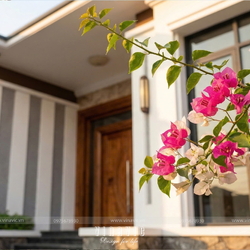 Mẫu thiết kế nhà 1 tầng hiện đại mái nhật chữ L 4 phòng ngủ 18x13m NP2365