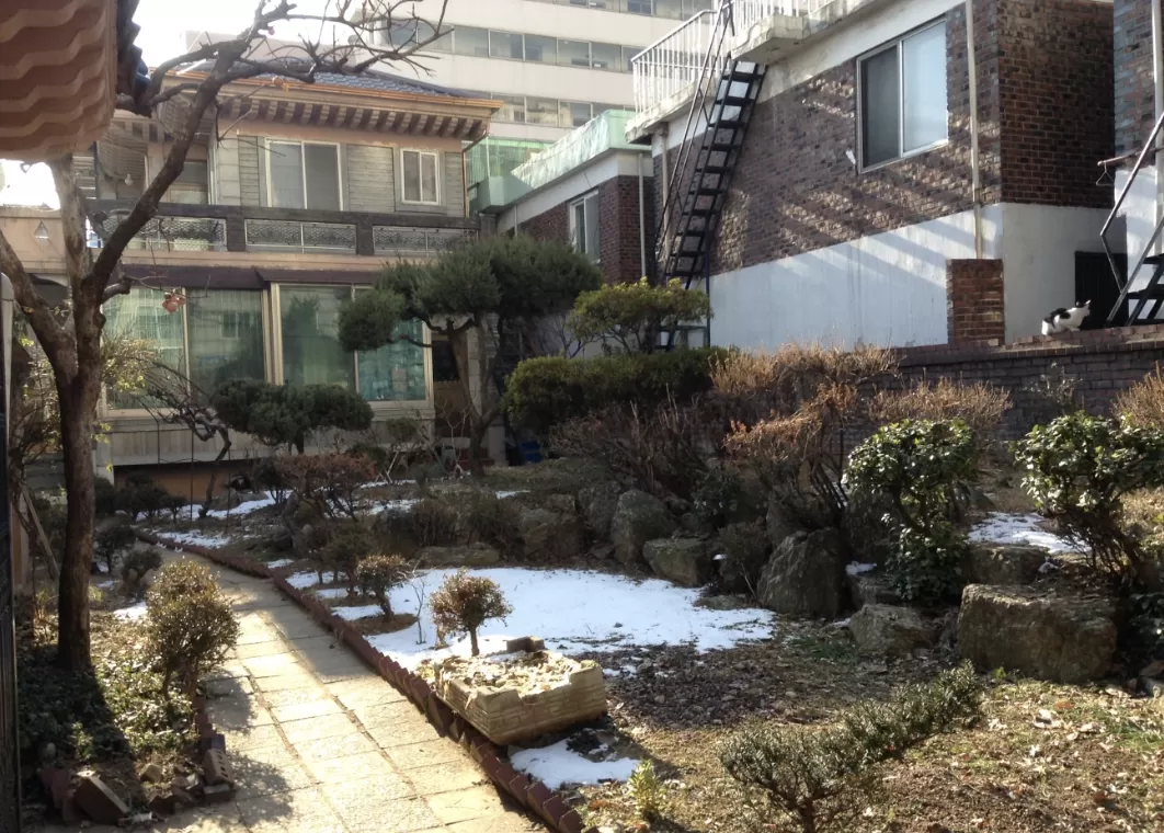 Khu vườn điểm tuyết ở một căn nhà điển hình giữa lòng Seoul