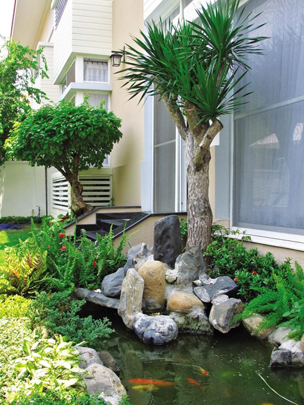 Trồng cây đại lộc trước biệt thự bảo chứng cho sự may mắn