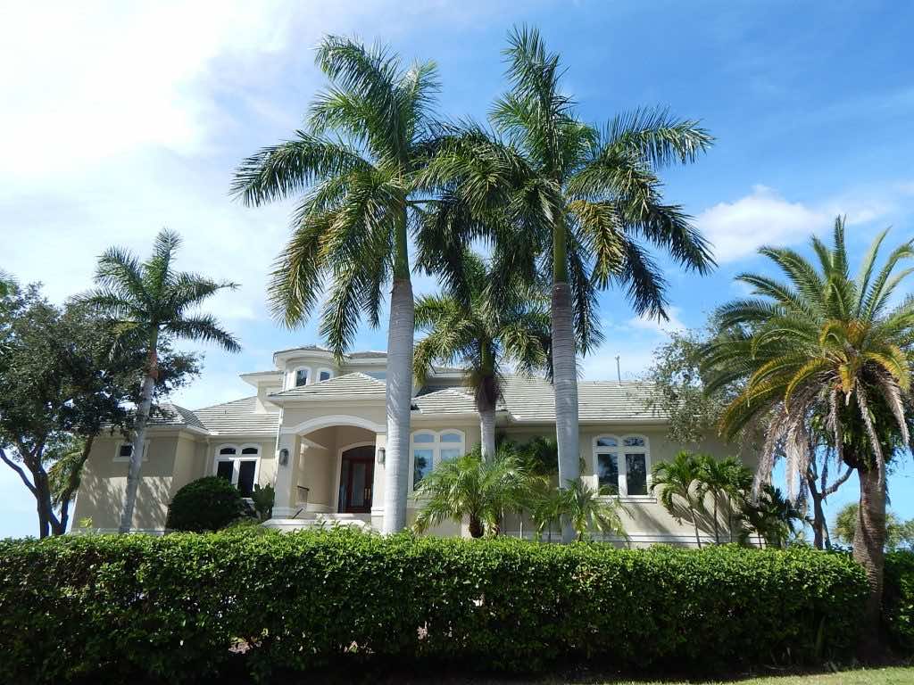 Cau trồng trước nhà thích hợp thu hút vượng khí