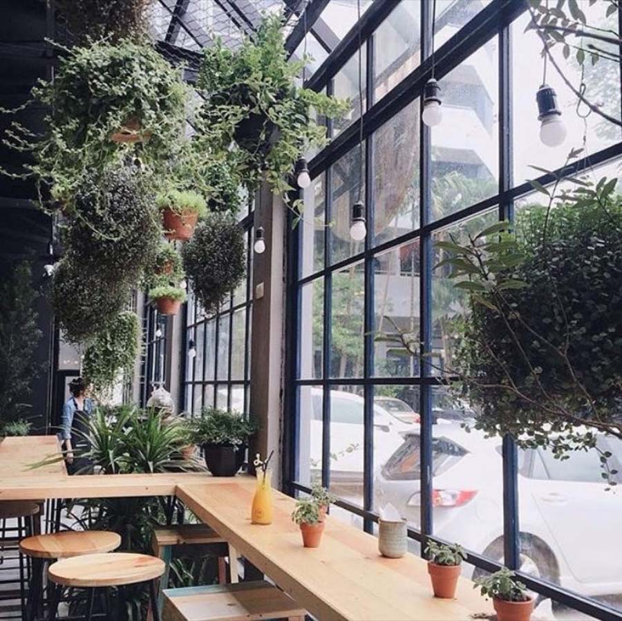 Biến không gian quán cafe thành nhà kính