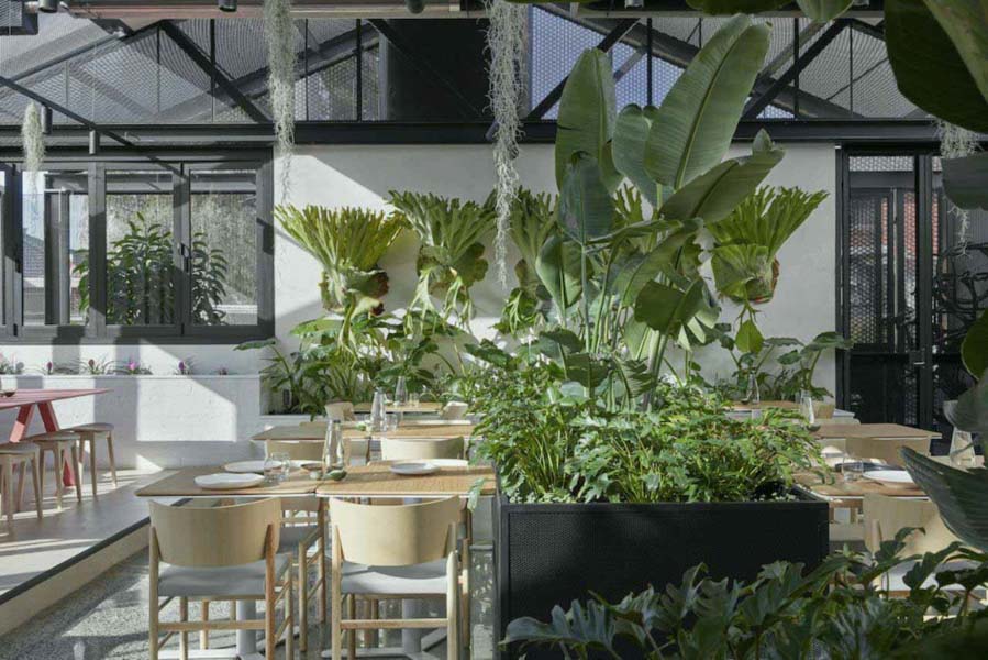 Diện tích cafe tuy nhỏ hẹp nhưng vẫn đảm bảo thoáng mát với phong cách Scandinavian