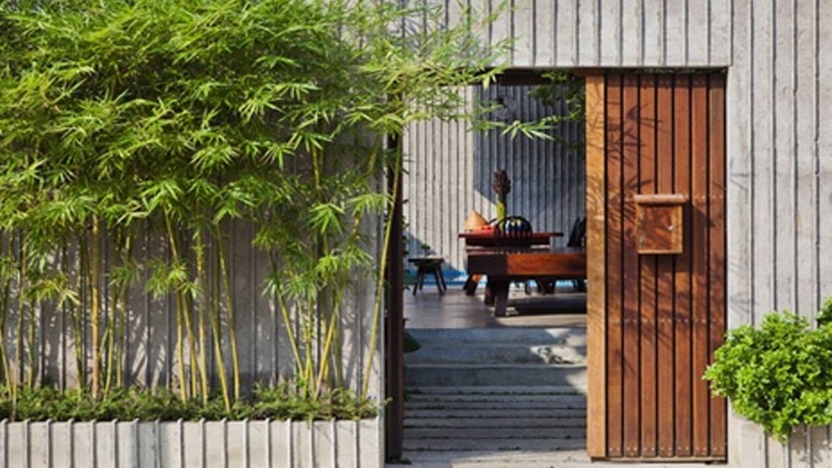 Trồng cây phong thuỷ trước nhà giúp làm mát không khí