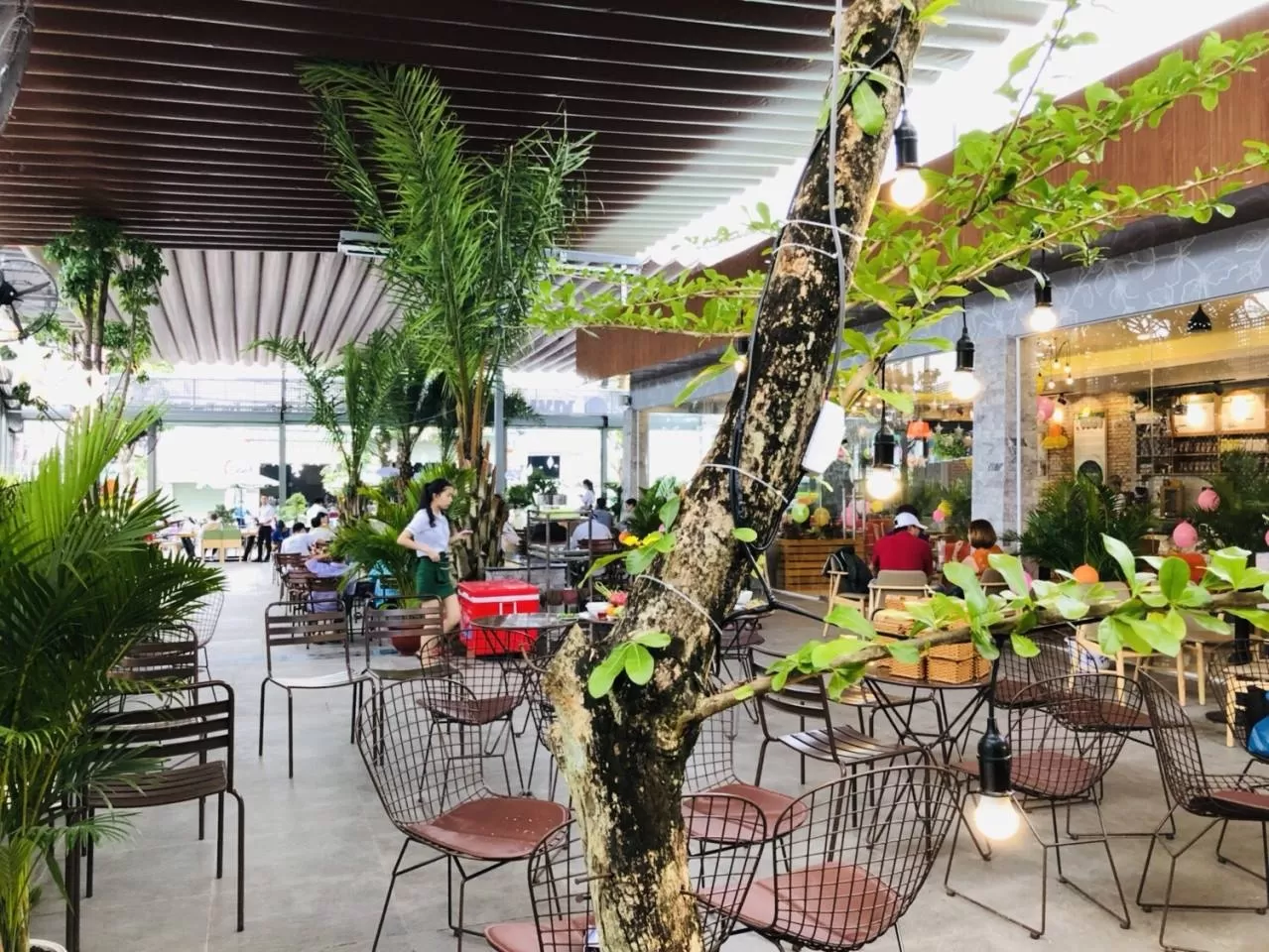 Mô hình cafe sân vườn kết hợp nhà ở giúp tăng thêm thu nhập