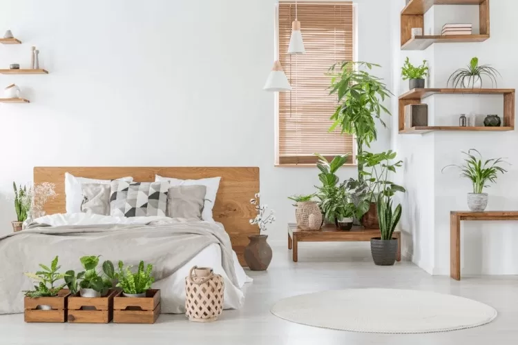 Không gian xanh trang trí nhiều cây hoa