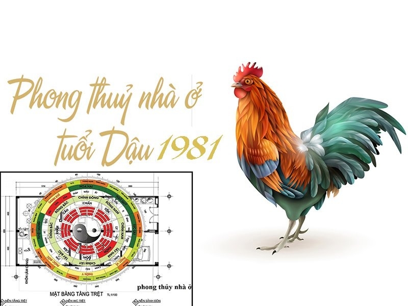 tuổi tân dậu năm 2023 có làm nhà được không?