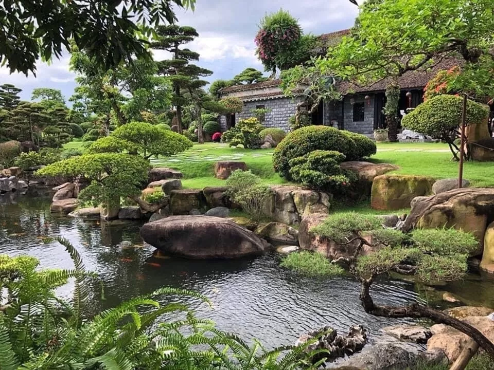 Bố trí cây cảnh theo hướng ánh sáng