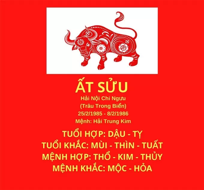 Tử vi người tuổi 1985 Ất Sửu