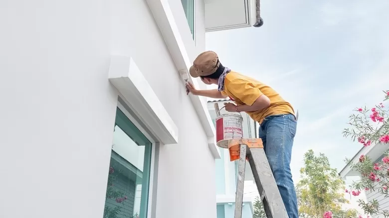 Đợi khoảng 7-10 ngày để mùi sơn bay hết trước khi dọn vào ở