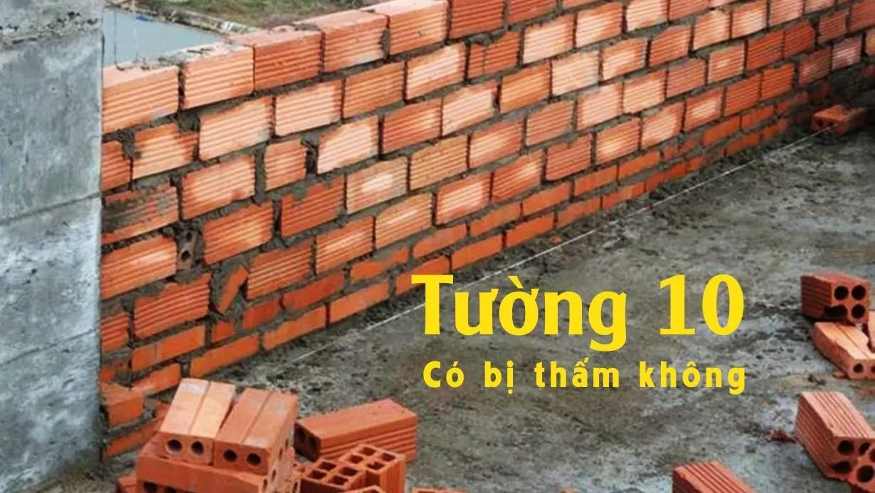 Tường 10 có bị thấm, nhưng có nhiều biện pháp chống thấm hiệu quả