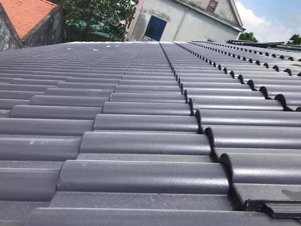 Trên thị trường, có rất nhiều loại ngói lợp mái nhật được sử dụng phổ biến, trong đó phải kể đến những loại ngói chất lượng tốt nhất, mẫu mã đẹp, giá thành hợp lý sau: Ngói Fuji, ngói Nakamura, ngói Murasaki, ngói Nippon, ngói Fuka, ngói Inari và ngói Ruby.