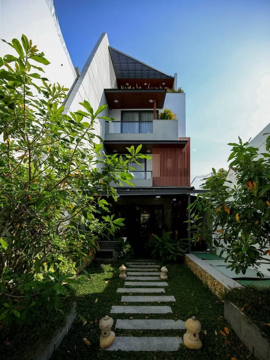 Chọn các loại cây xanh dễ chăm sóc