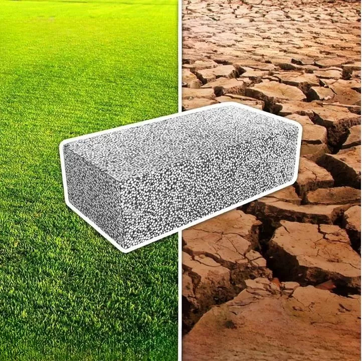 Gạch Ecoblock