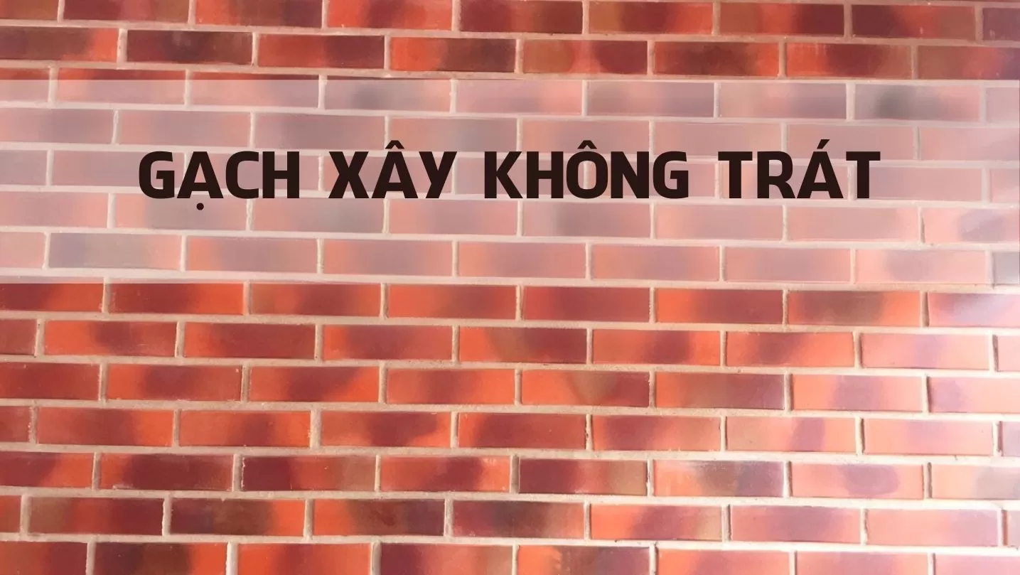 Sử dụng gạch không trát xây nhà nên hay không?