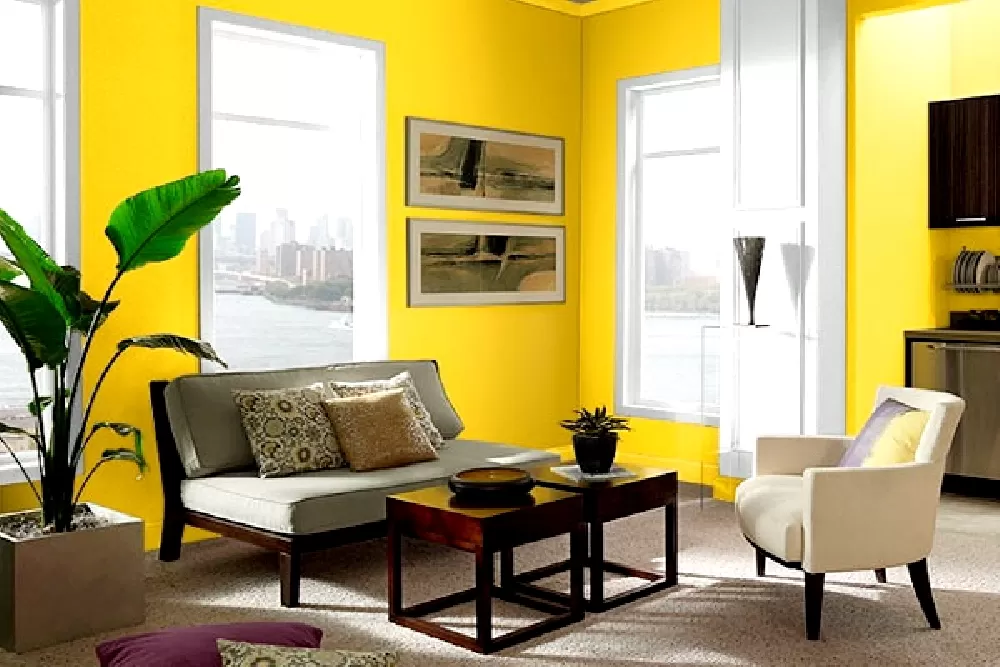 Màu vàng mang lại cảm giác tươi sáng