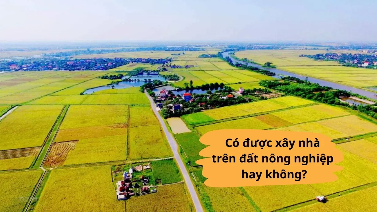 xây nhà trên đất nông nghiệp