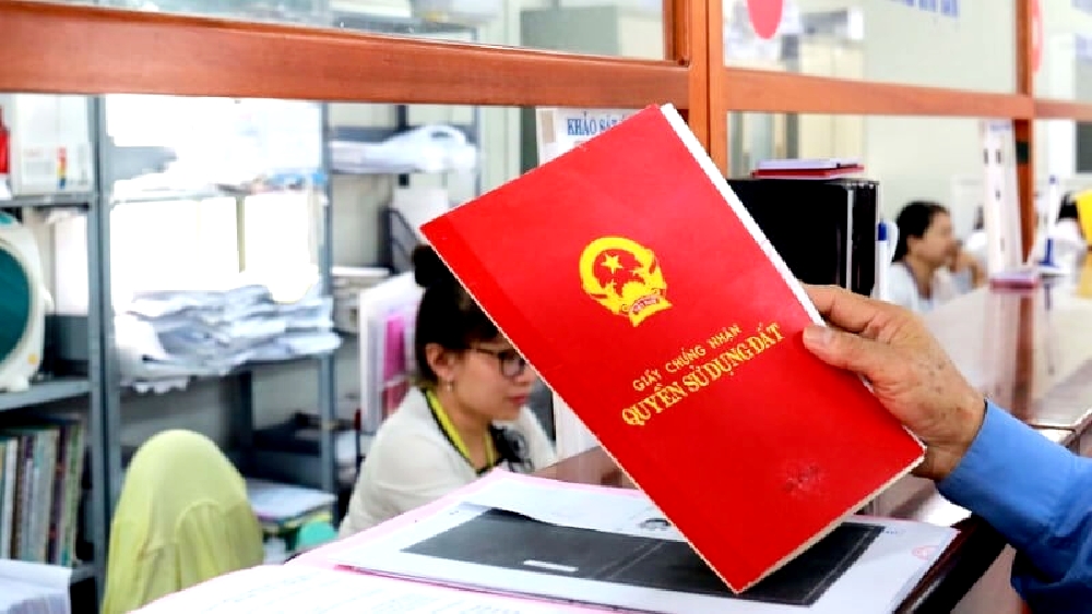Cần có giấy tờ chứng minh quyền sử dụng đất trồng cây lâu năm