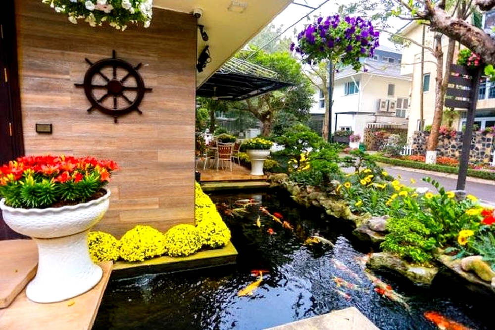 Hồ cá Koi được thiết kế với kích thước vừa phải,