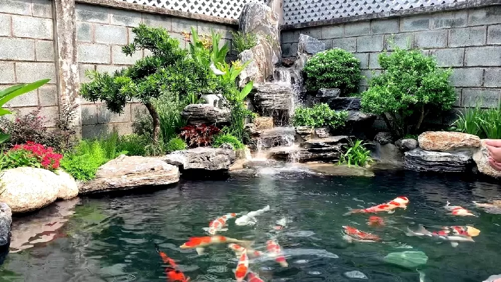 Biệt thự có hồ cá Koi tăng tính thẩm mỹ đẳng cấp cho không gian sống