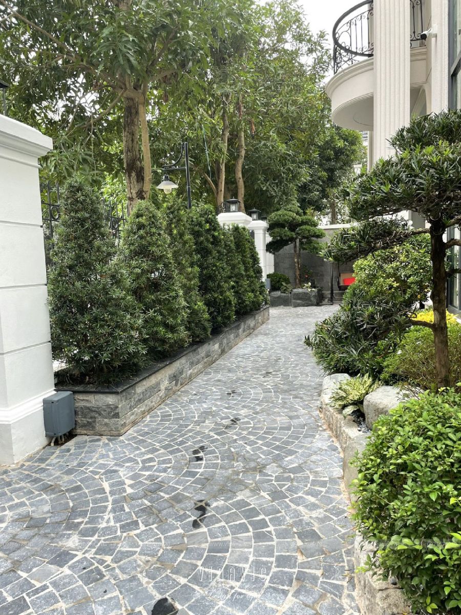 Thi công tiểu cảnh sân vườn