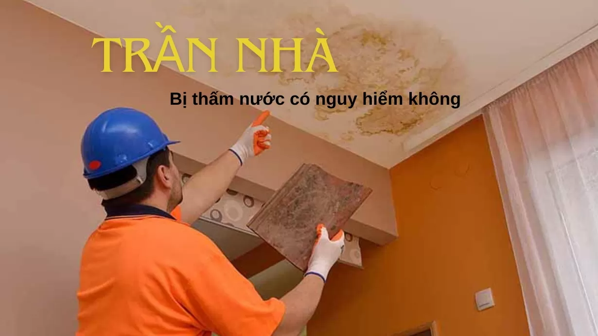 trần nhà bị thấm nước có nguy hiểm không