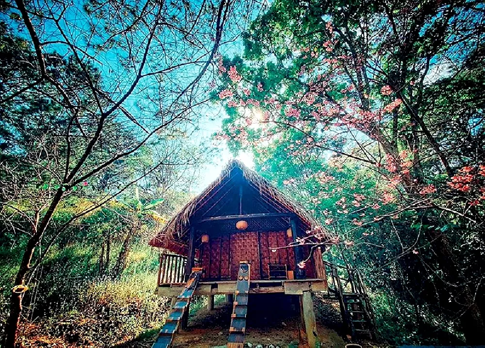 armstay đẹp đã được xây dựng và hoàn thiện trong khu vực núi rừng với một thiết kế đặc trưng của vùng đồi núi, tạo nên một bức tranh ấn tượng và lôi cuốn