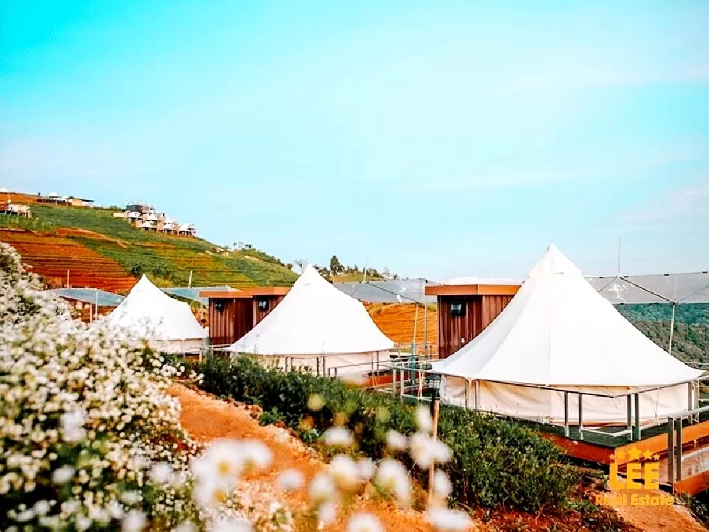 một trang trại với những chiếc lều trắng được dựng trên đỉnh đồi. Những chiếc lều được bao quanh bởi những bông hoa rực rỡ và những hàng cây xanh tươi.