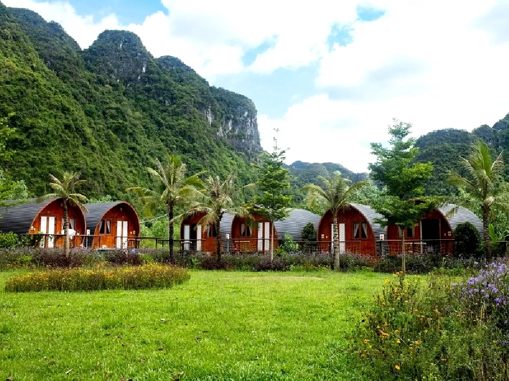 Tận dụng thiên nhiên để có thiết kế Farmstay đẹp