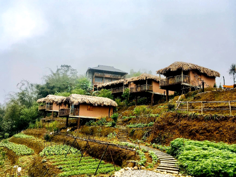 Farmstay có sự kết hợp giữa nghỉ dưỡng và trải nghiệm các hoạt động nông nghiệp địa phương