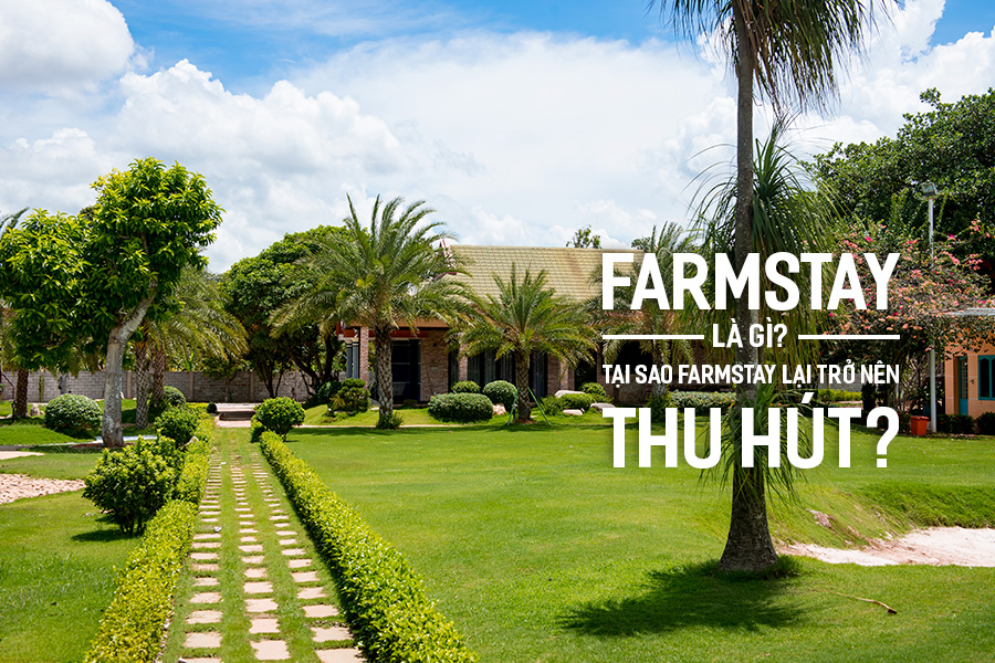 Farmstay là gì?