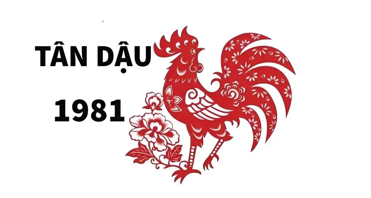 Tuổi tân dậu 1981