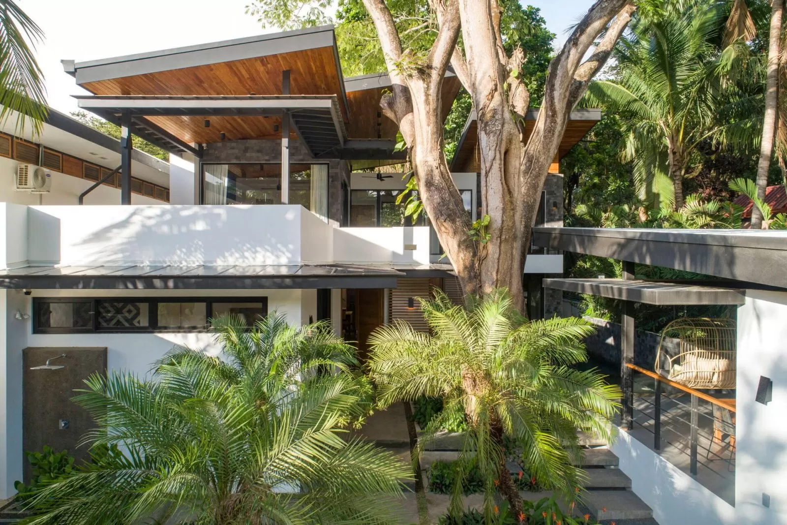 Thiết kế phong cách Tropical đồ sộ và ấn tượng