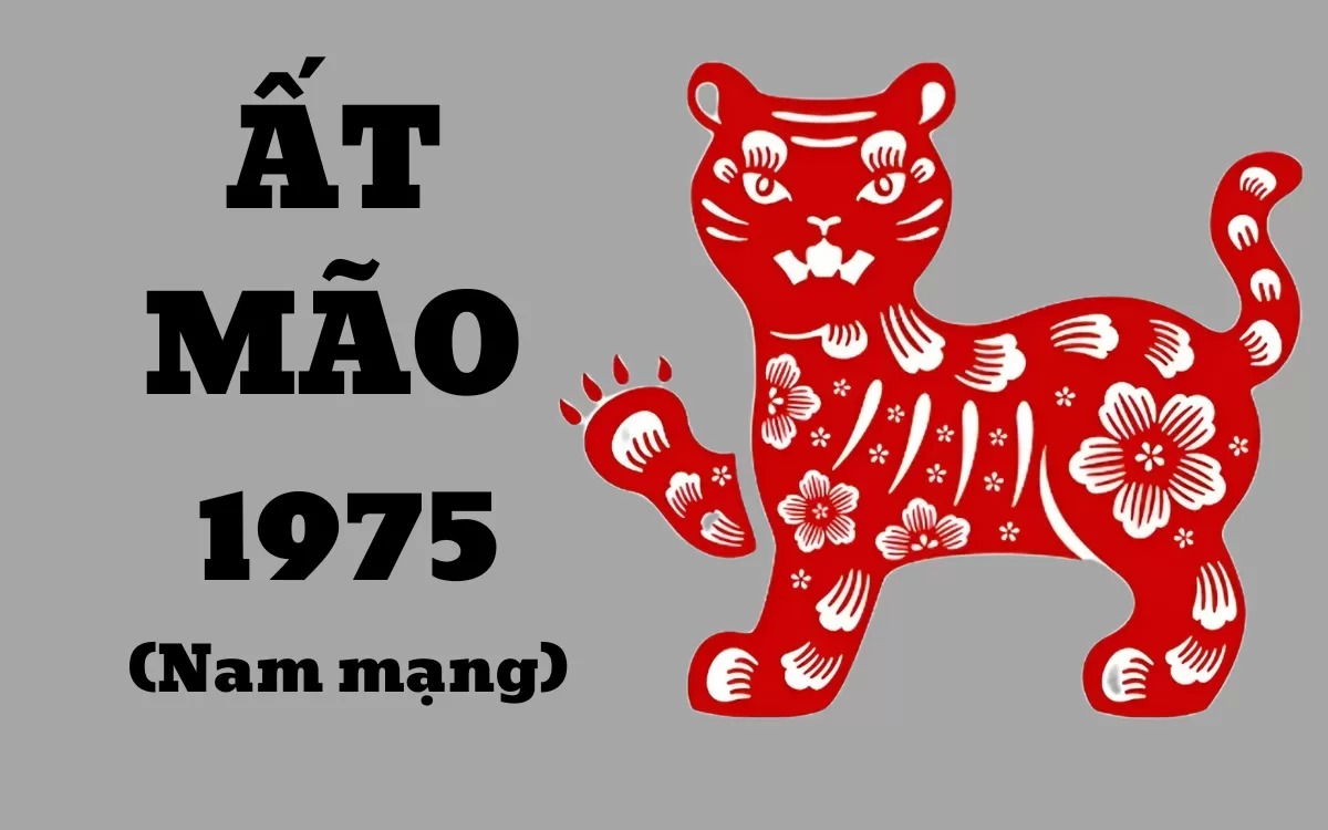 Nam ất mão