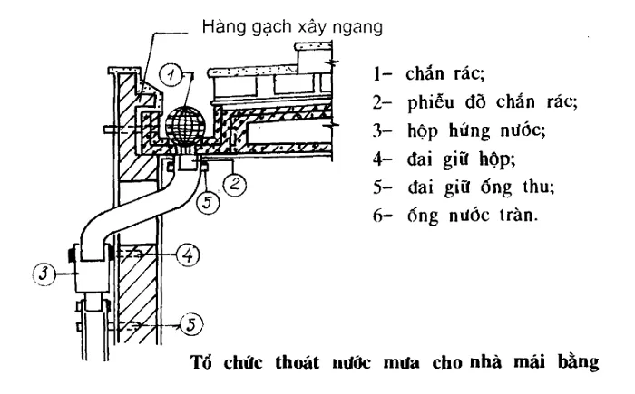 Cấu tạo seno khi tổ chức thoát nước mưa mái bằng